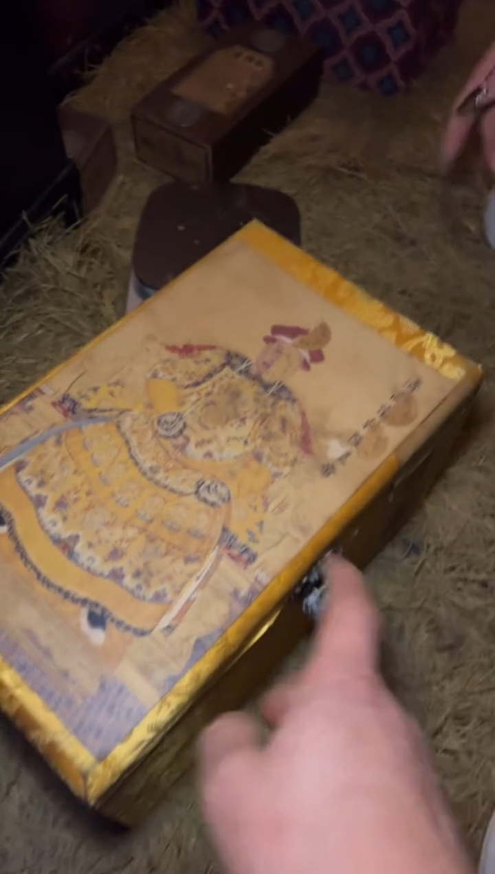 木------------------福利--------------