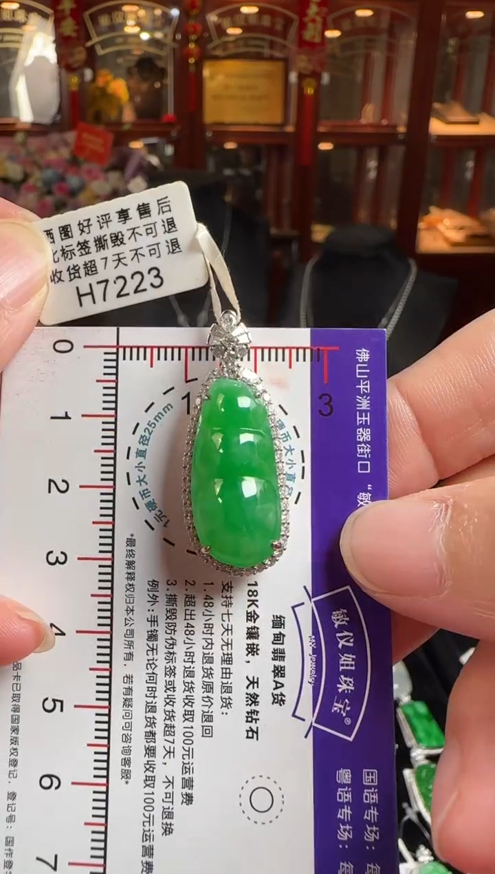 颈饰18K金镶嵌翡翠H7223冰绿富贵豆