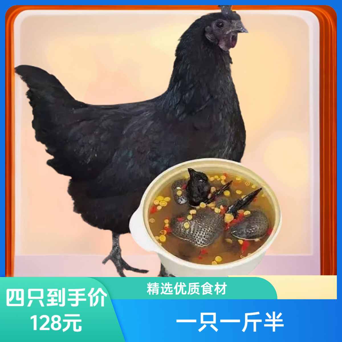 散养纯种五黑鸡青年鸡绿壳蛋乌骨鸡土鸡大公鸡整鸡肉鲜美汤可口