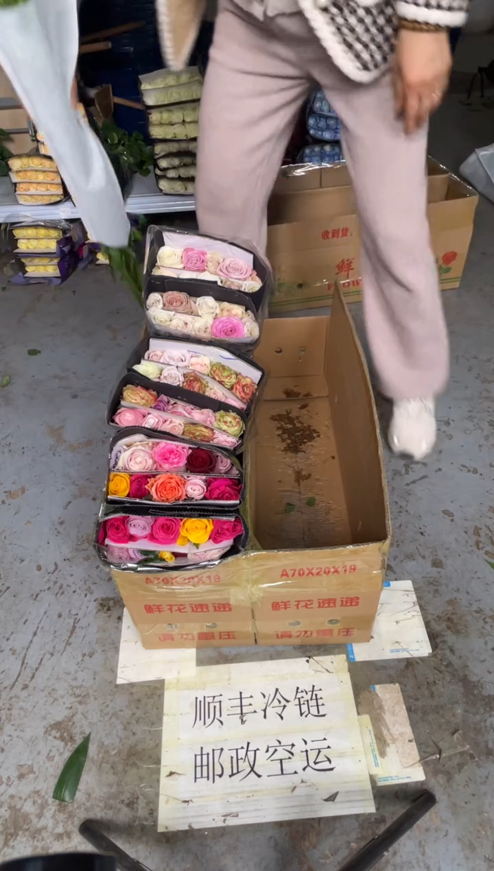 混色3扎共60枝+黄莺