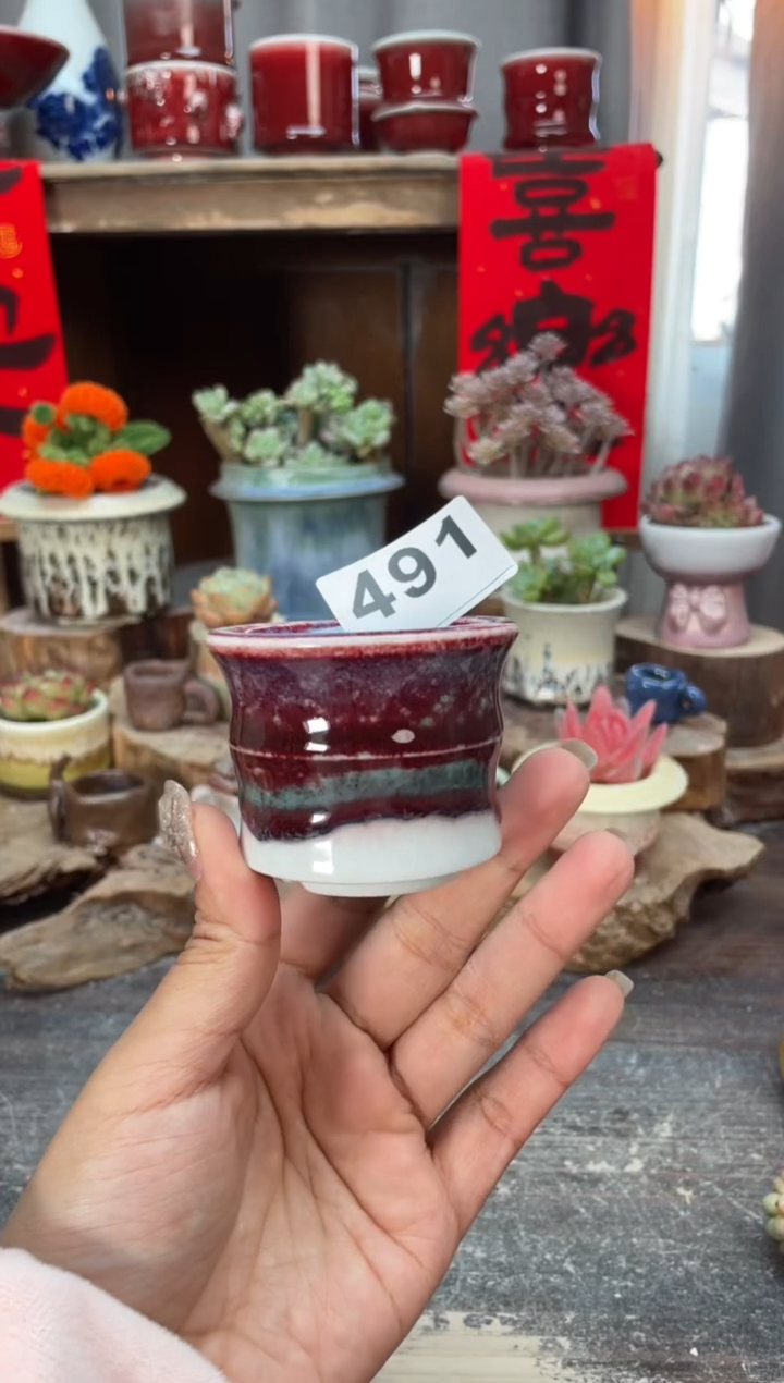【闪购商品】摆件491知木小芳花盆