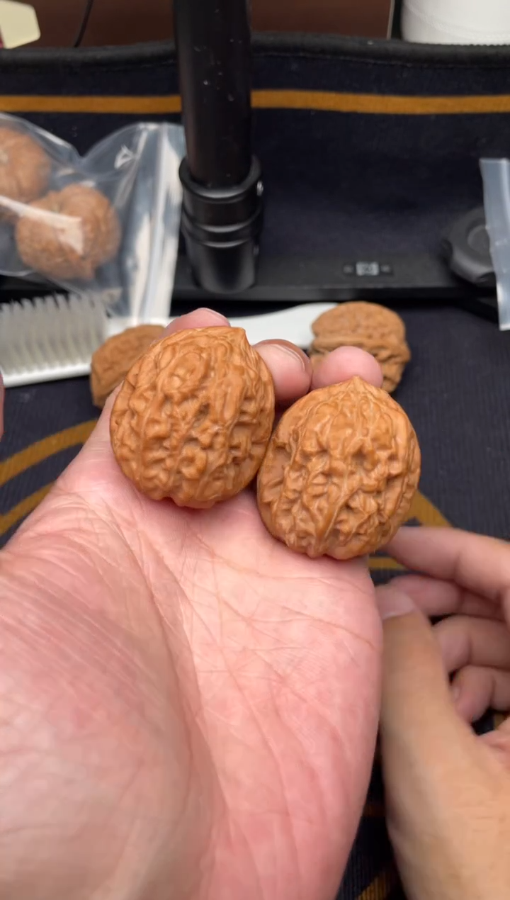 吊坠文玩核桃野生将军膀S101