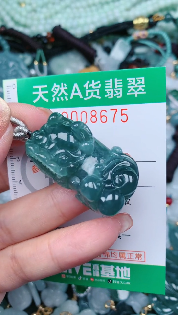 【闪购商品】翡翠颈饰未镶嵌.0008675