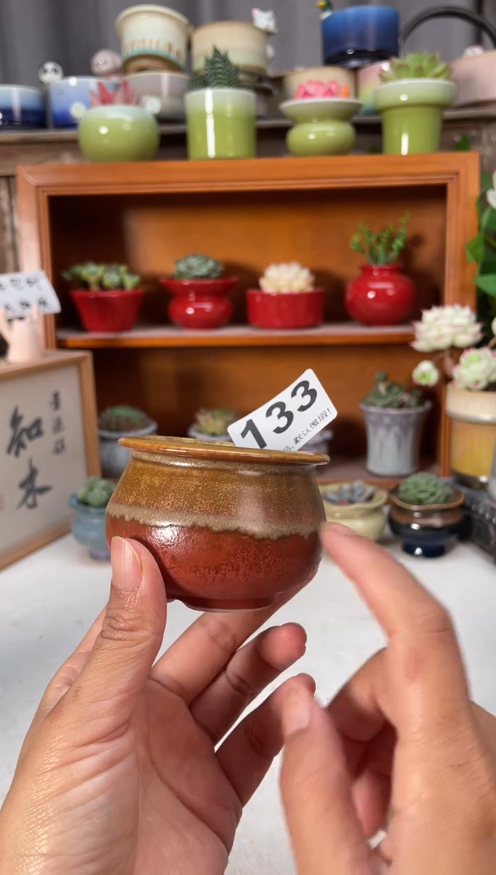 瓷片133知木小芳花盆