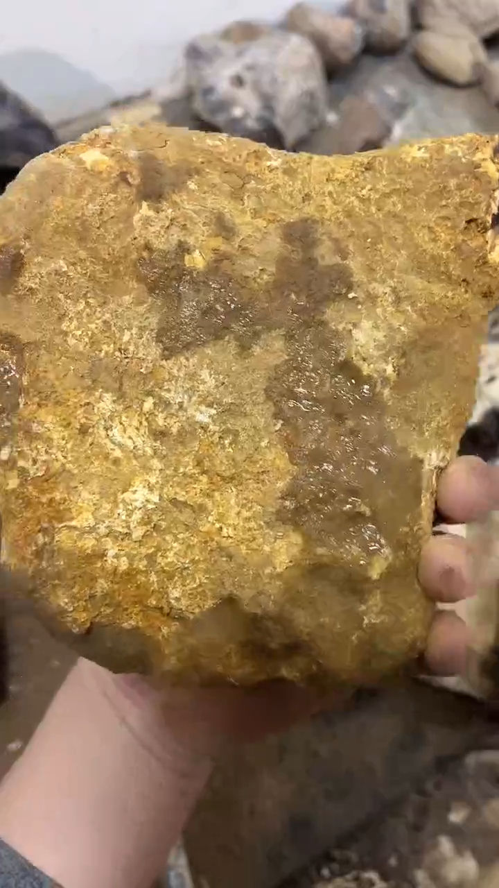 定制玛瑙吉****7包5002908