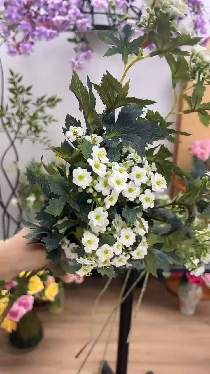 3枝白色长寿兰花花