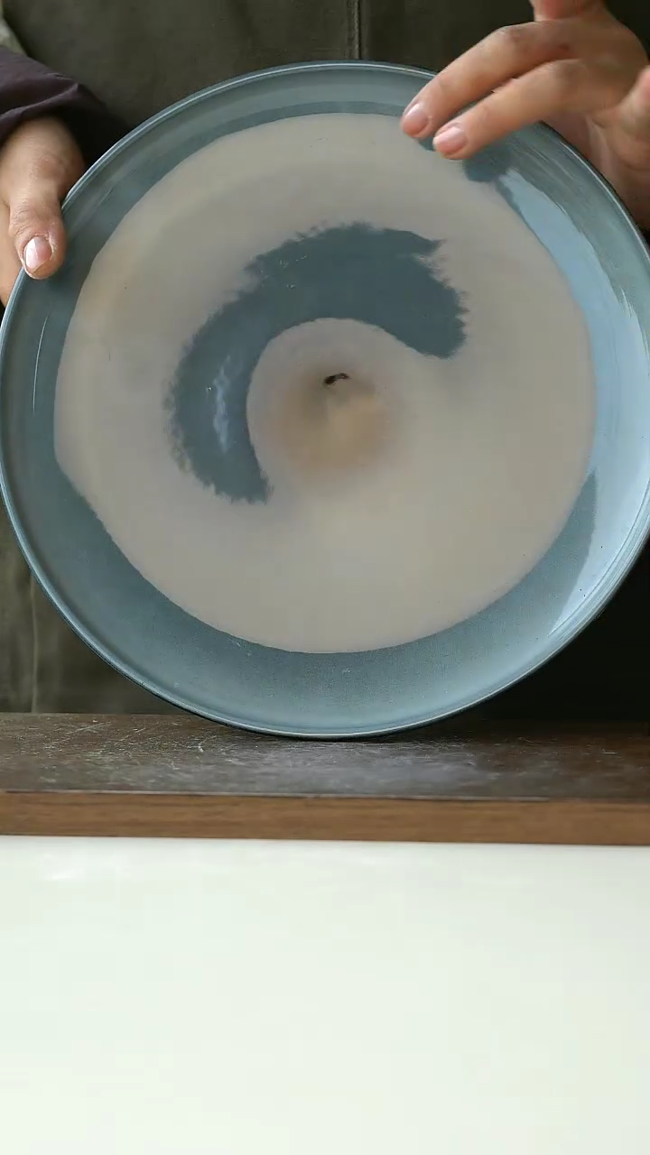 【闪购商品】陶瓷窑变牛排盘微瑕25.5cm@4-2@