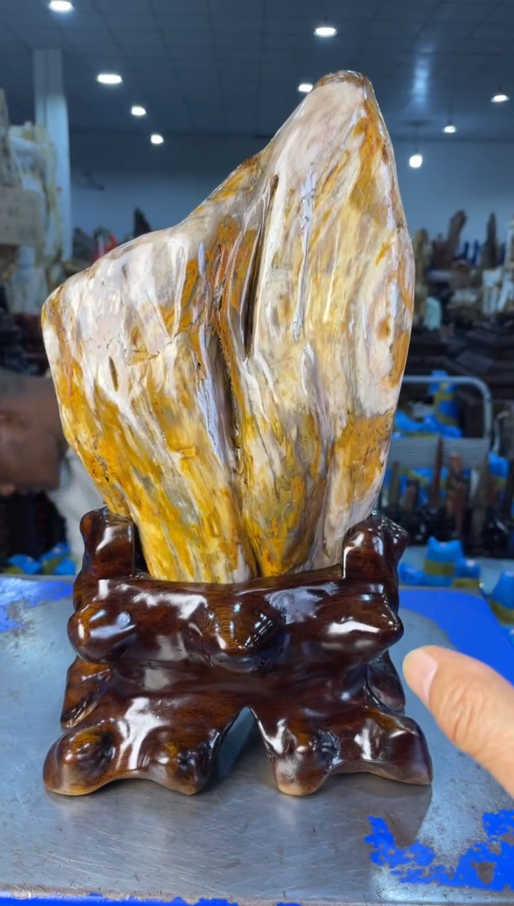 未镶嵌摆件硅化玉15