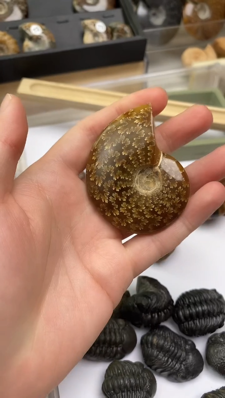 精美摆件创意礼物家居配饰新年礼物个人收藏