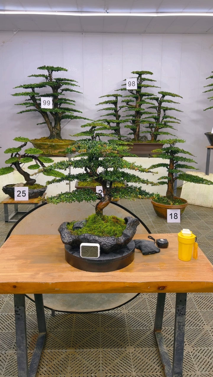 无花朵一物一拍一物一拍