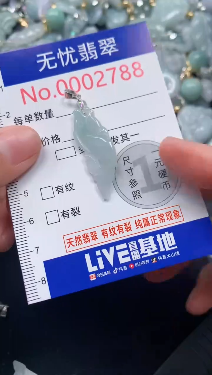 颈饰未镶嵌翡翠2788