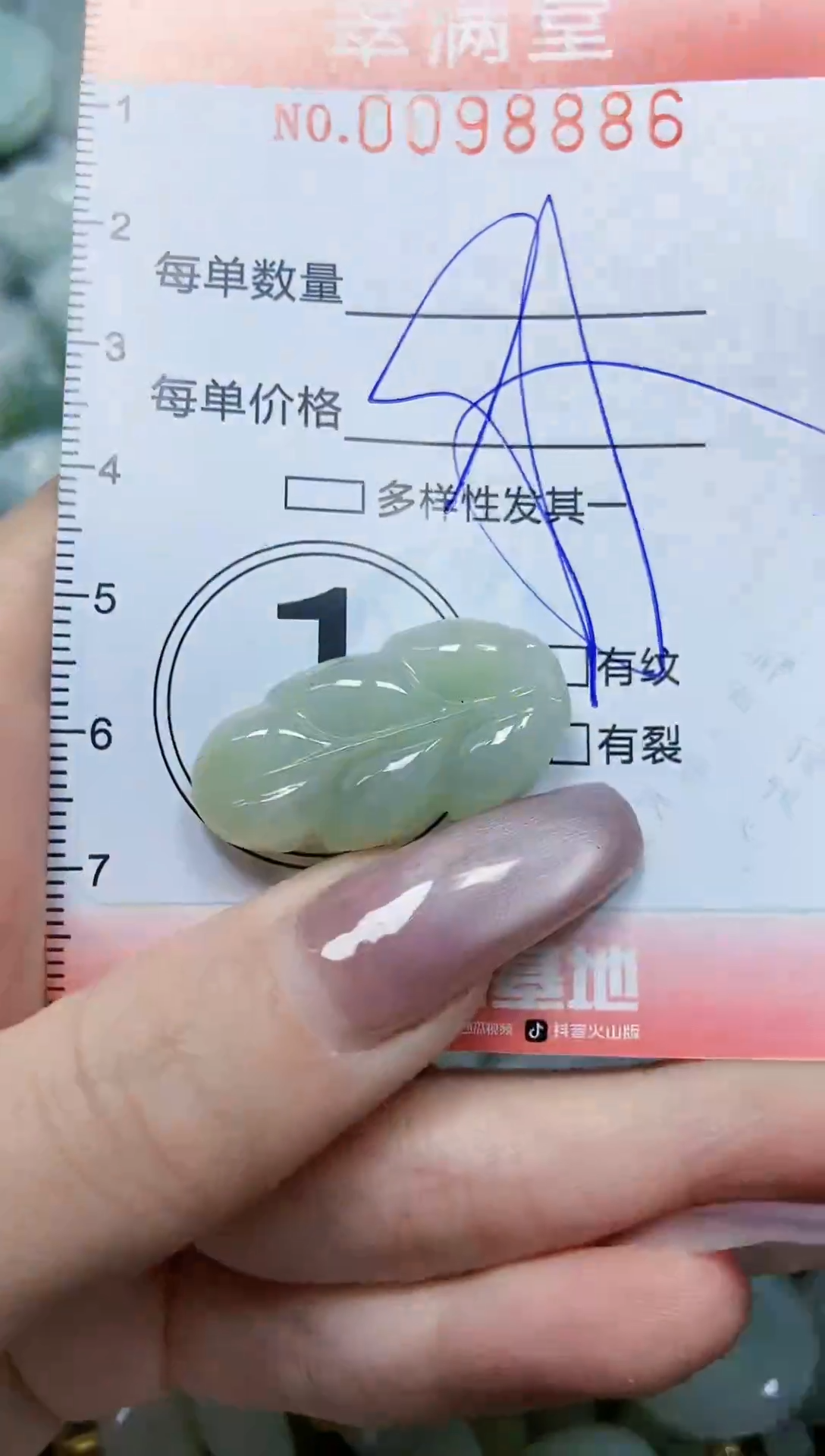 【闪购商品】翡翠颈饰未镶嵌闪购0098886