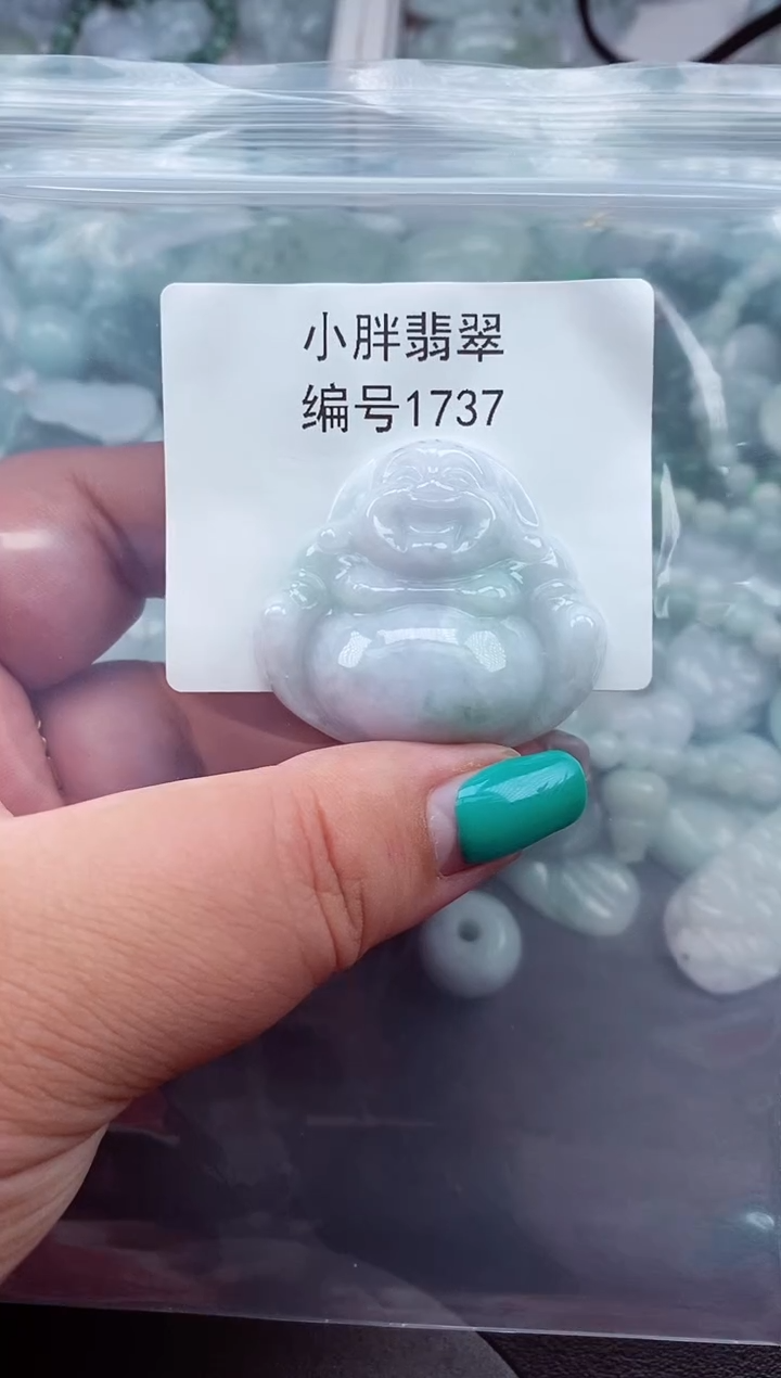 颈饰未镶嵌翡翠缅甸天然A货翡翠1737