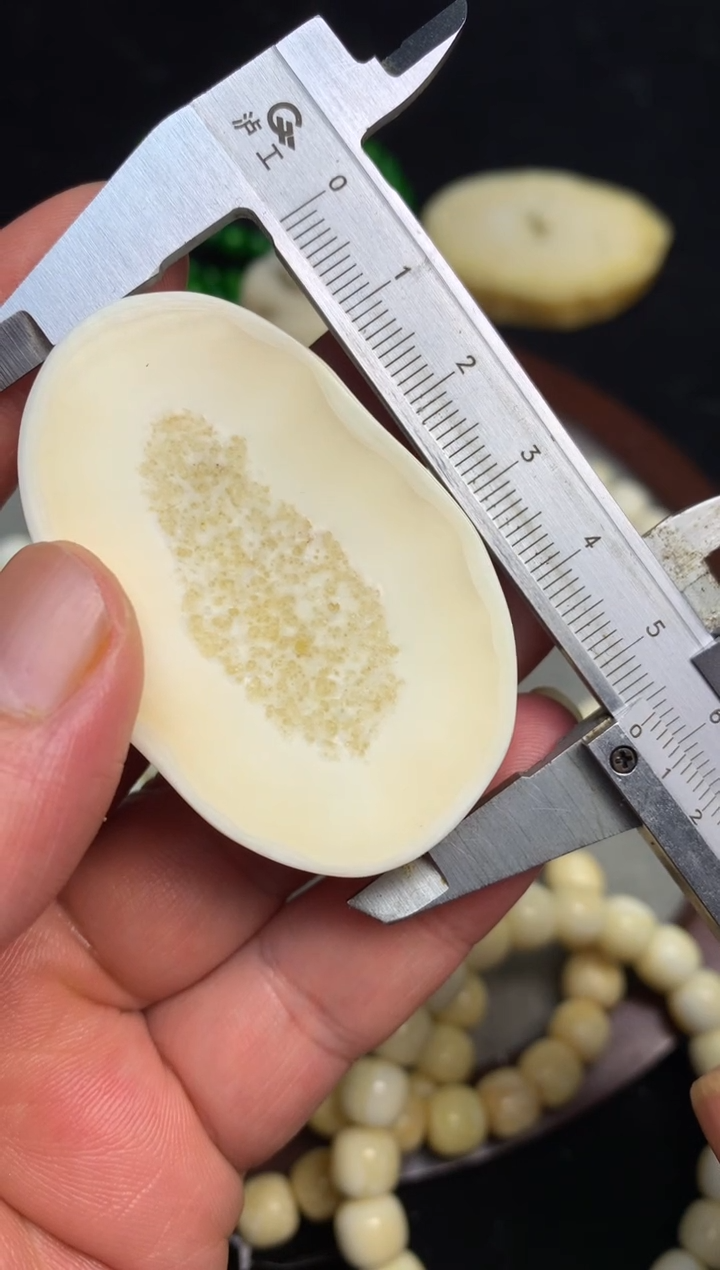 【闪购商品】橄榄核手串/手链猛犸猛犸猛犸猛犸D10