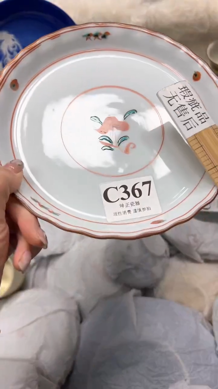 【闪购商品】瓷片          C367