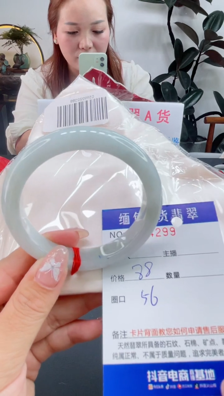 未镶嵌手镯翡翠0