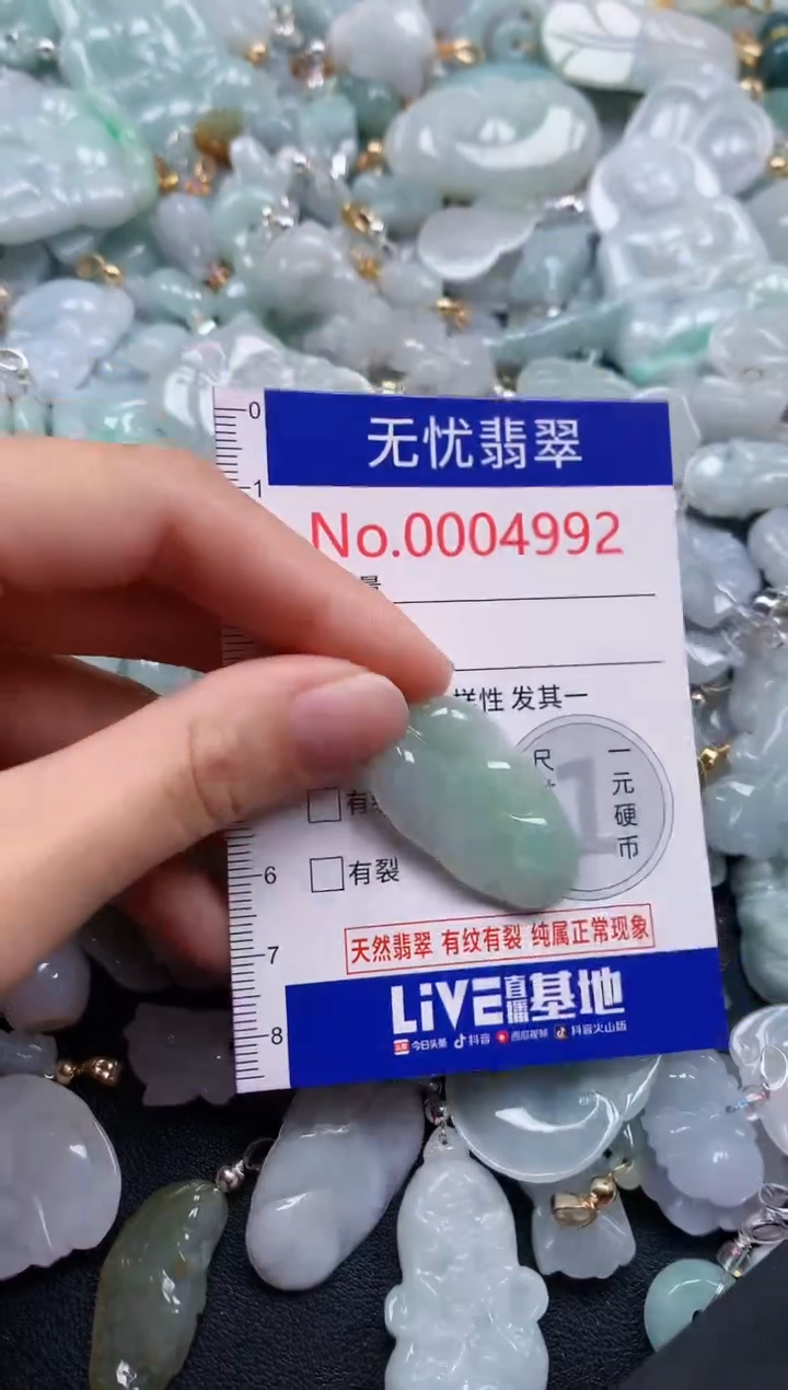 颈饰未镶嵌翡翠4992