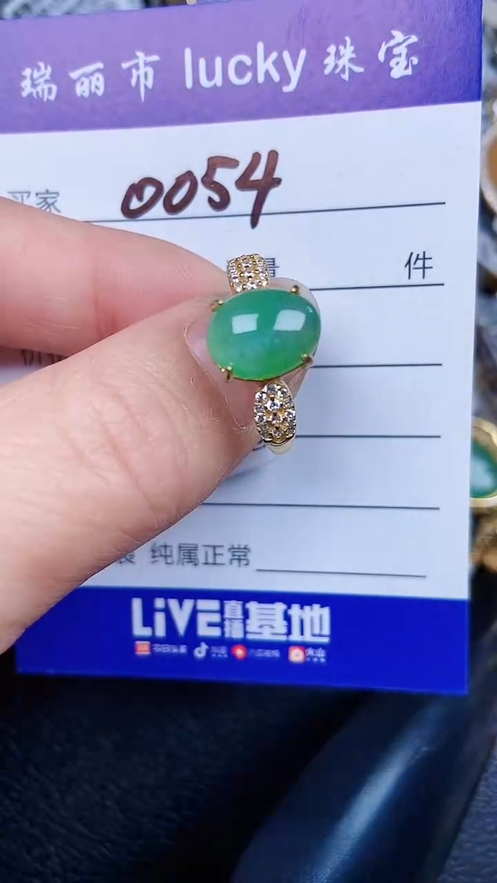颈饰银S925镶嵌翡翠0054