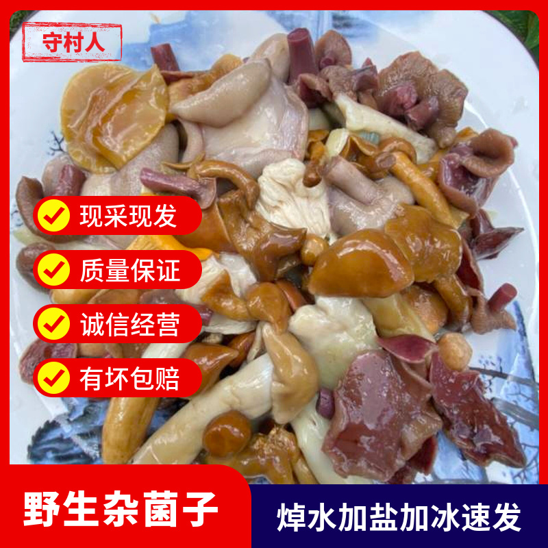重庆石柱野生杂菌煲汤火锅食材家用商用