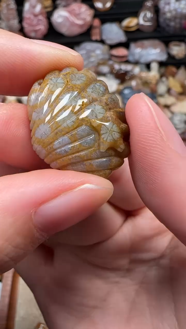 颈饰未镶嵌硅化珊瑚（珊瑚玉）901