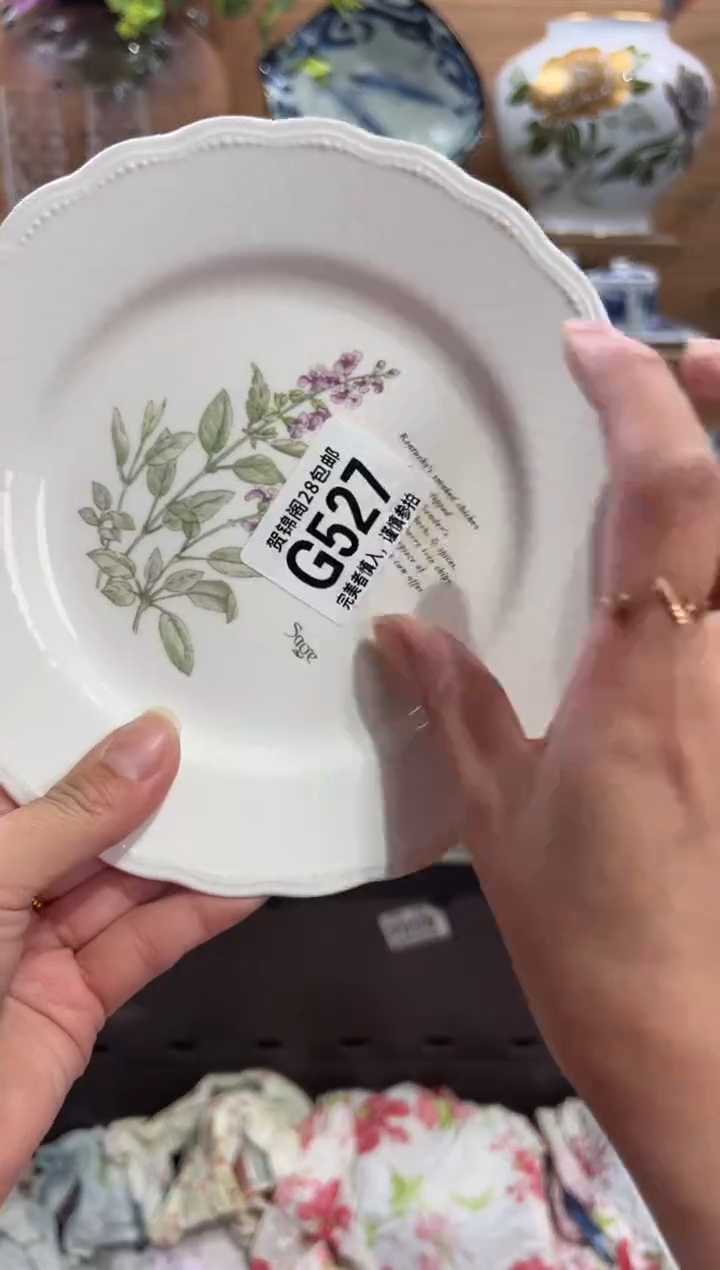 瓷片小*鱼      G527