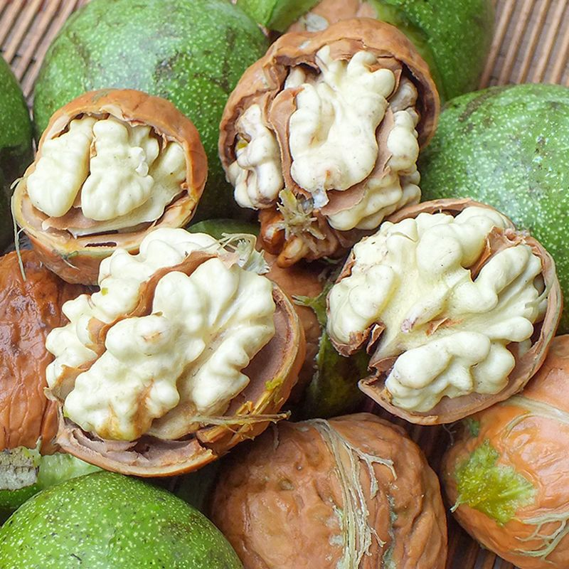 大凉山手工去青皮新鲜湿核桃薄壳无漂白老树核桃美味零食