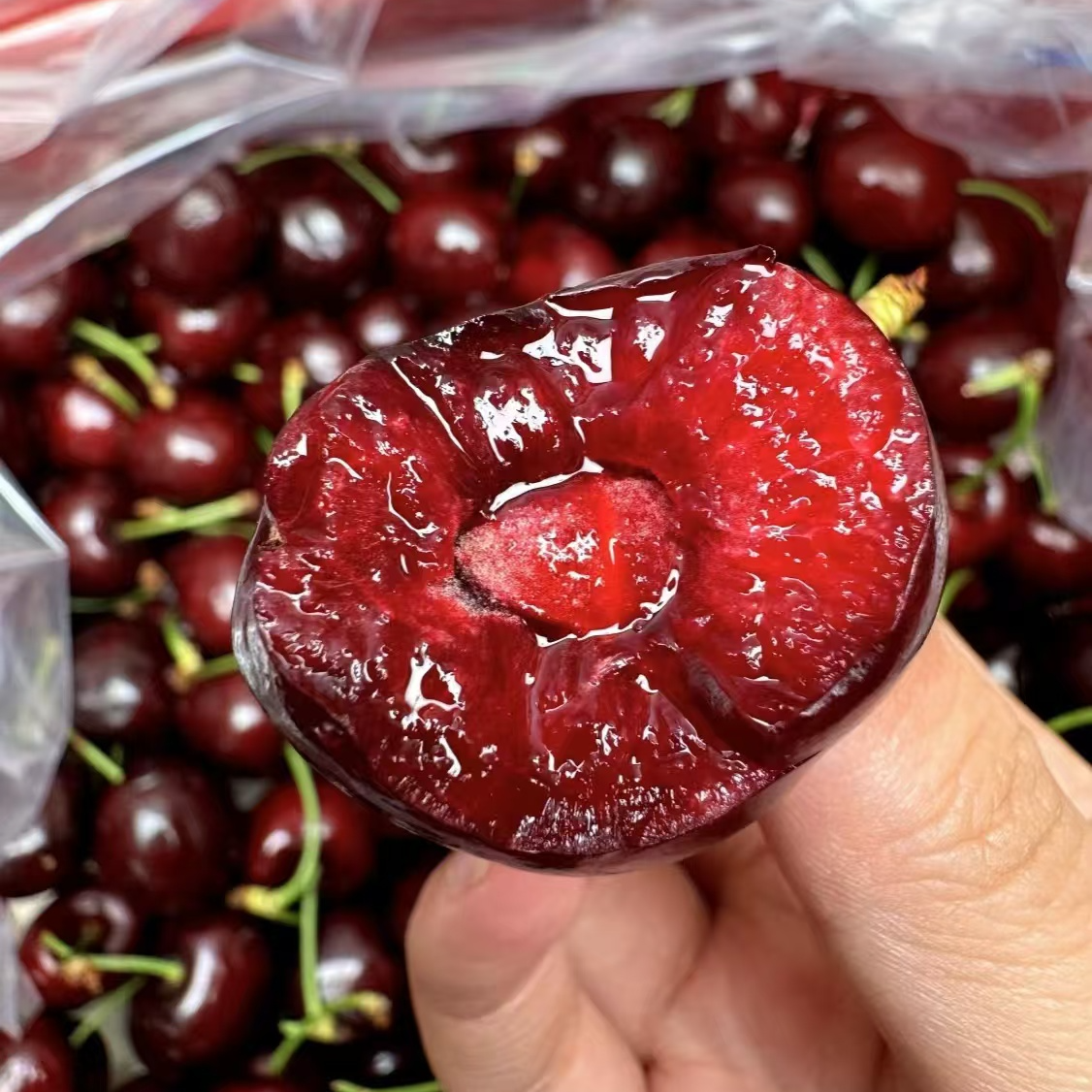 新鲜空运2J车厘子500g桑提娜
