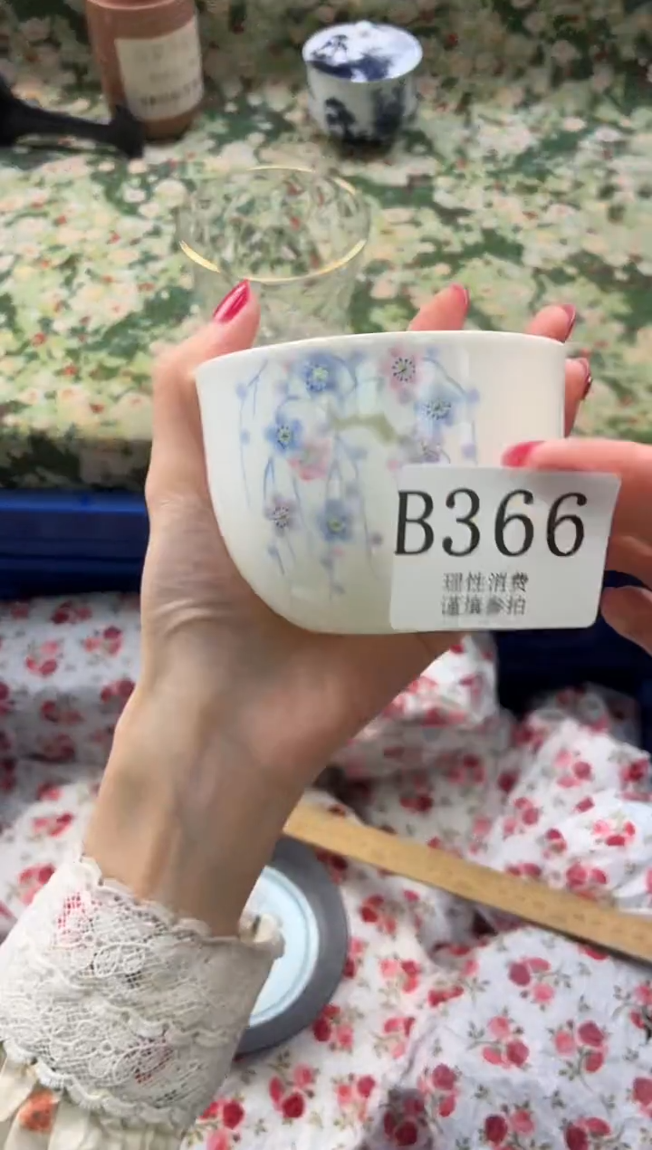 瓷片淡**眸       B366