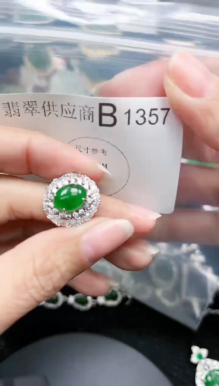 【闪购商品】翡翠颈饰未镶嵌赠皮绳1357