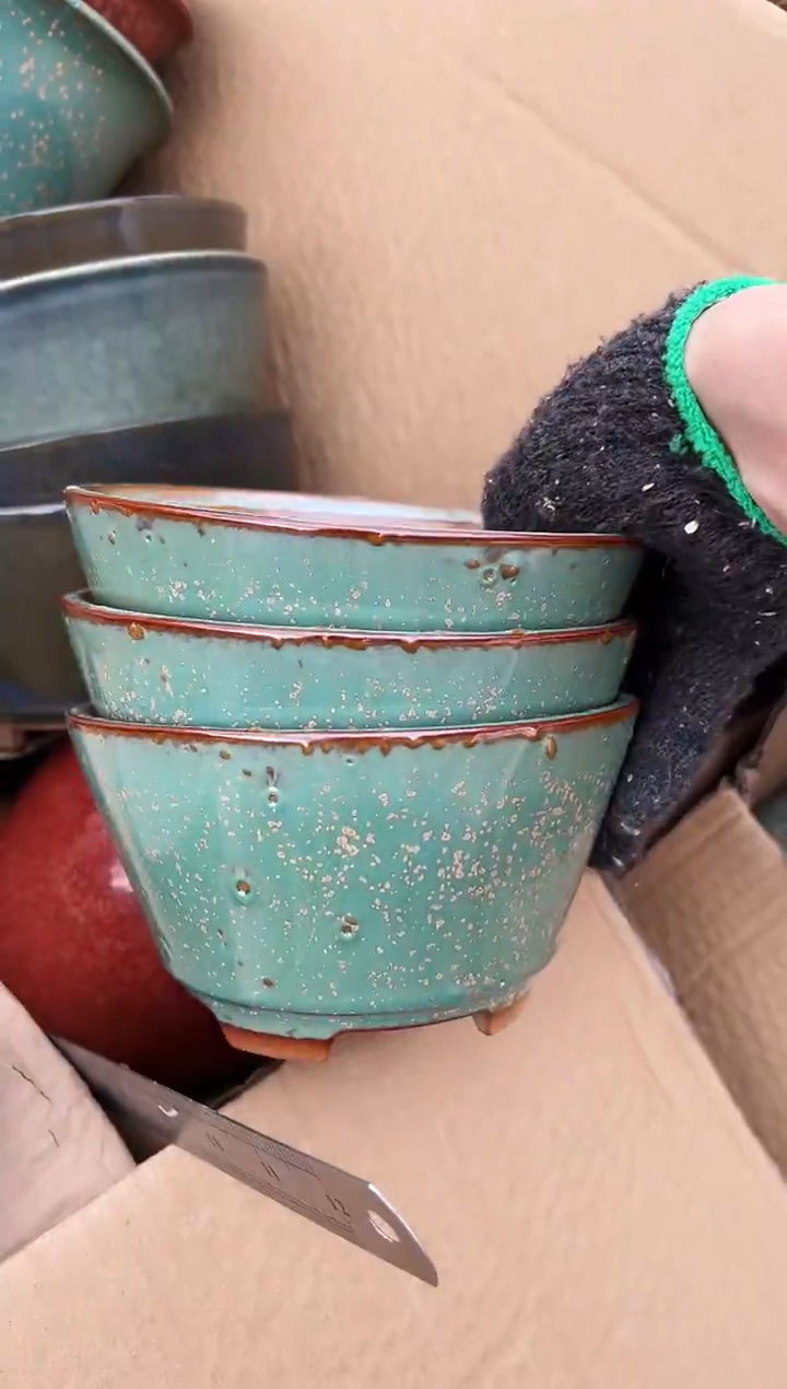 风**淡55号大瑕三个有气孔