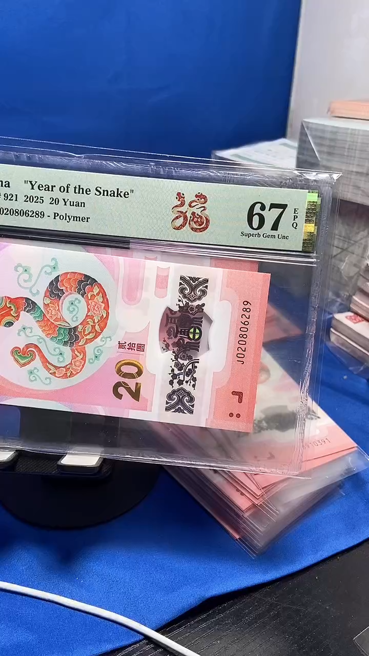 塑料龙珠020806289...