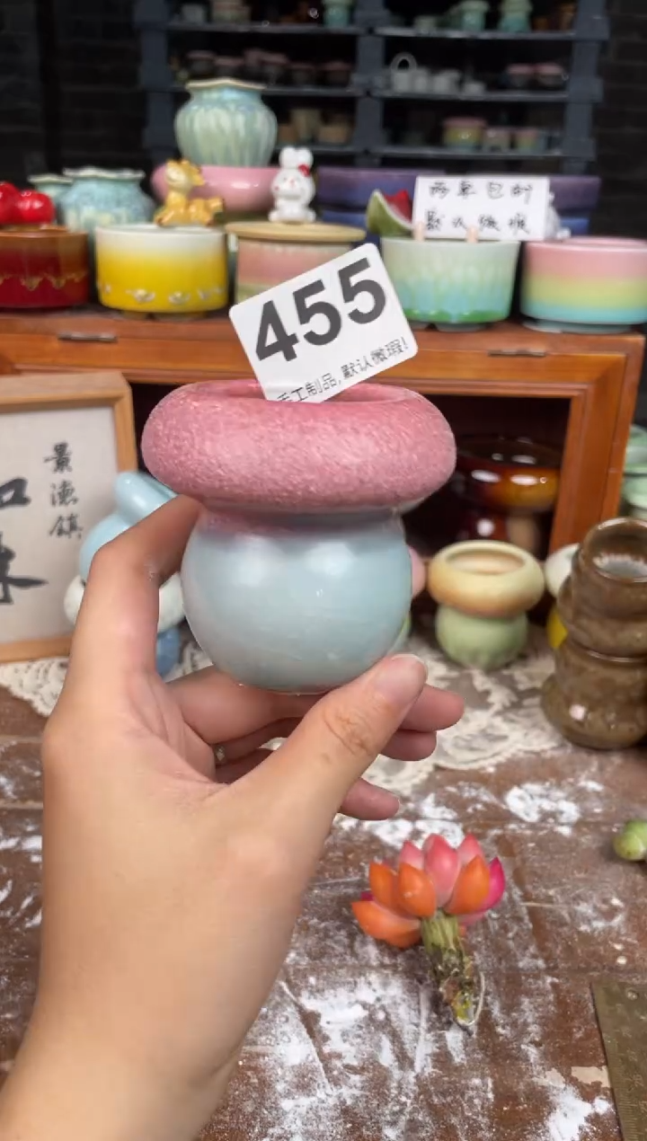瓷片455小芳花盆编号
