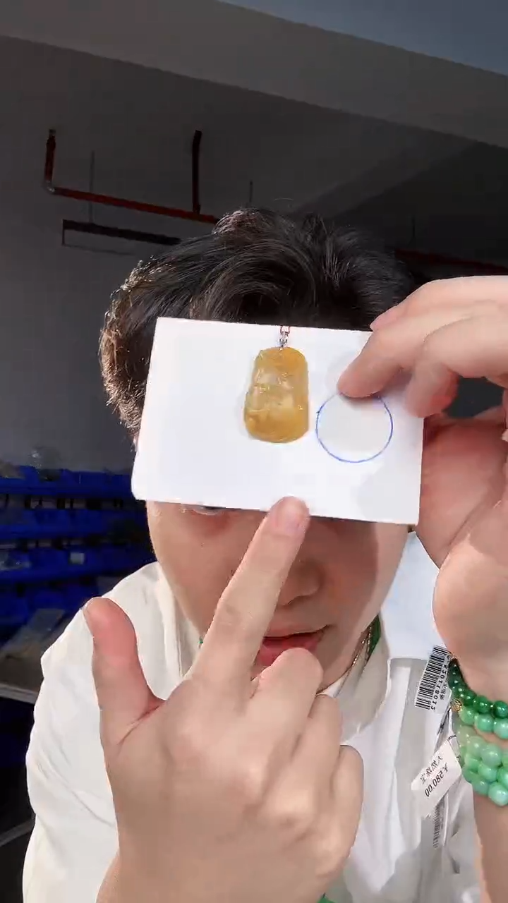 【闪购商品】翡翠颈饰18K金镶嵌缅料A货翡翠/支持复检/一件