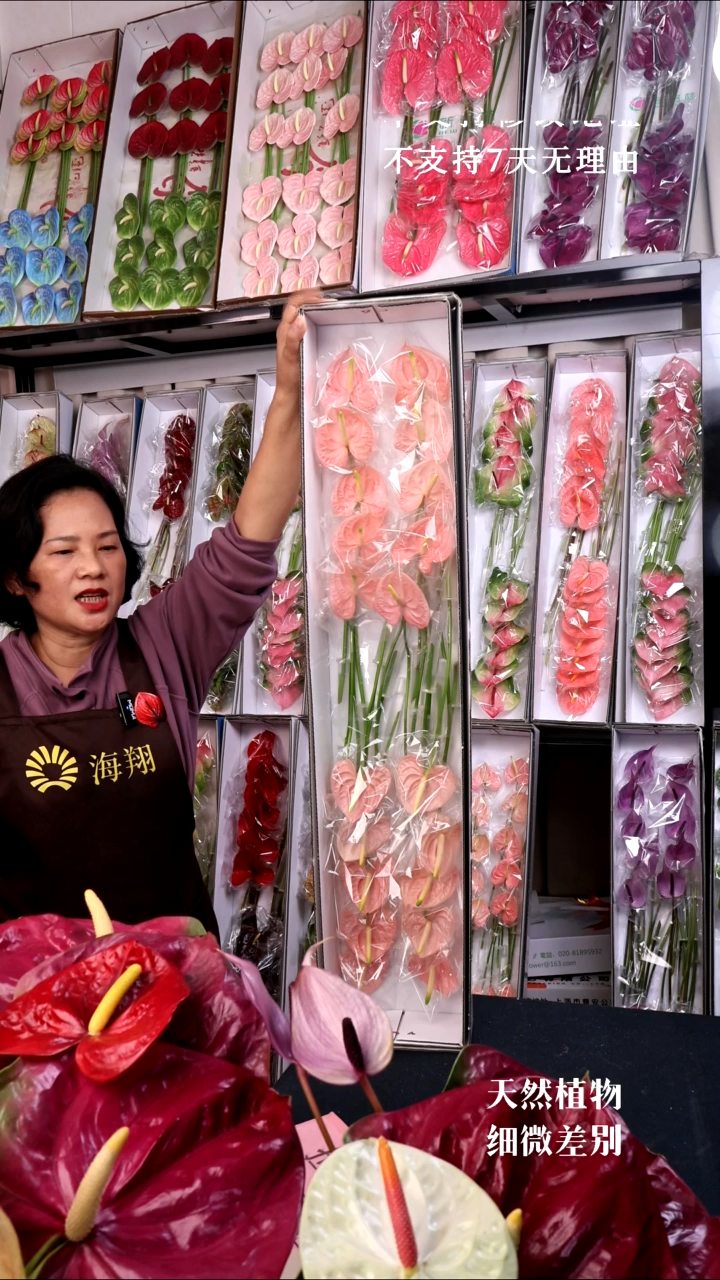 完全开放迷你小掌干杯20支微瑕不售后