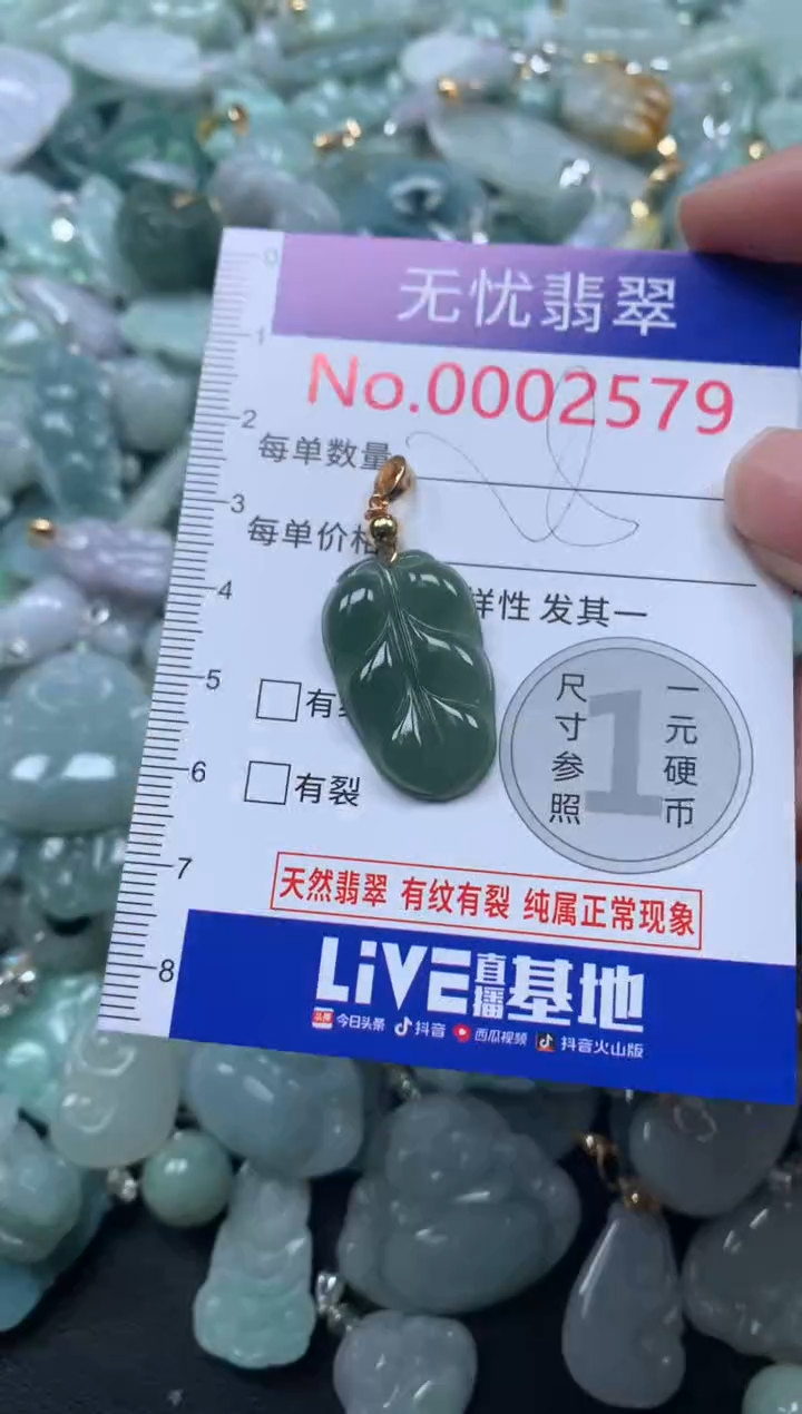 颈饰未镶嵌翡翠2579