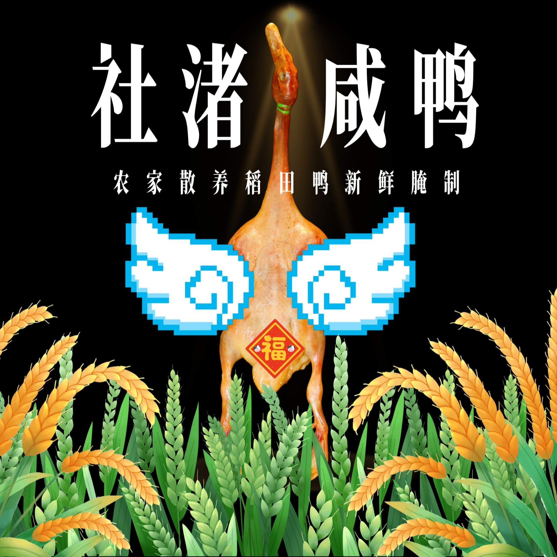 【江苏常州】社渚特产村民自晒咸鸭风干鸭特产农产品