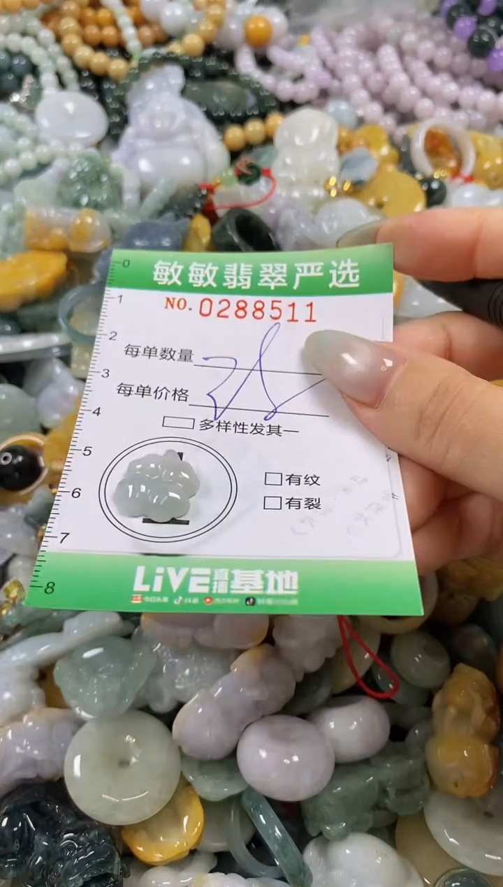 翡翠未镶嵌颈饰闪购0288511