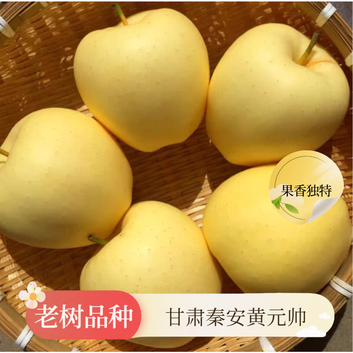 【顺丰快递】甘肃黄元帅苹果香甜多汁 自家果园直发