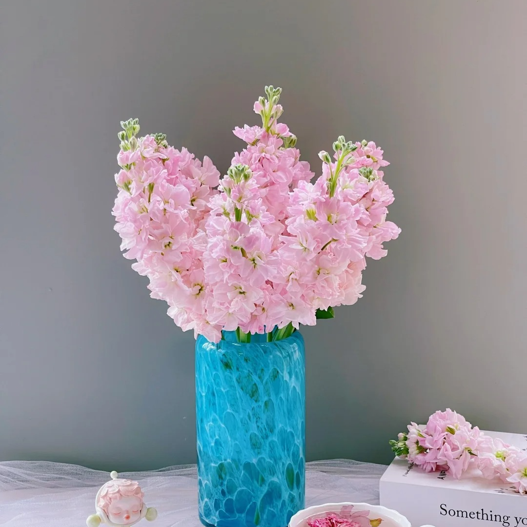 粉色紫罗兰花材 一扎  实物以直播间为准