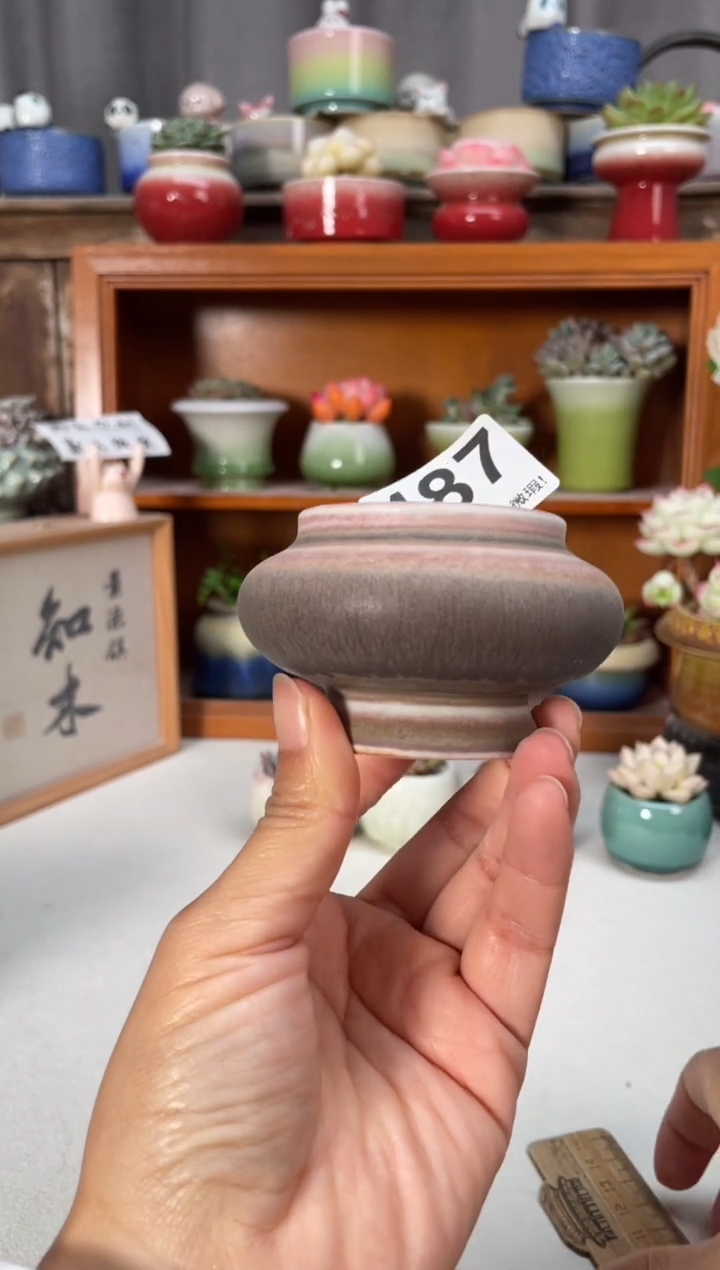 瓷片487知木小芳花盆