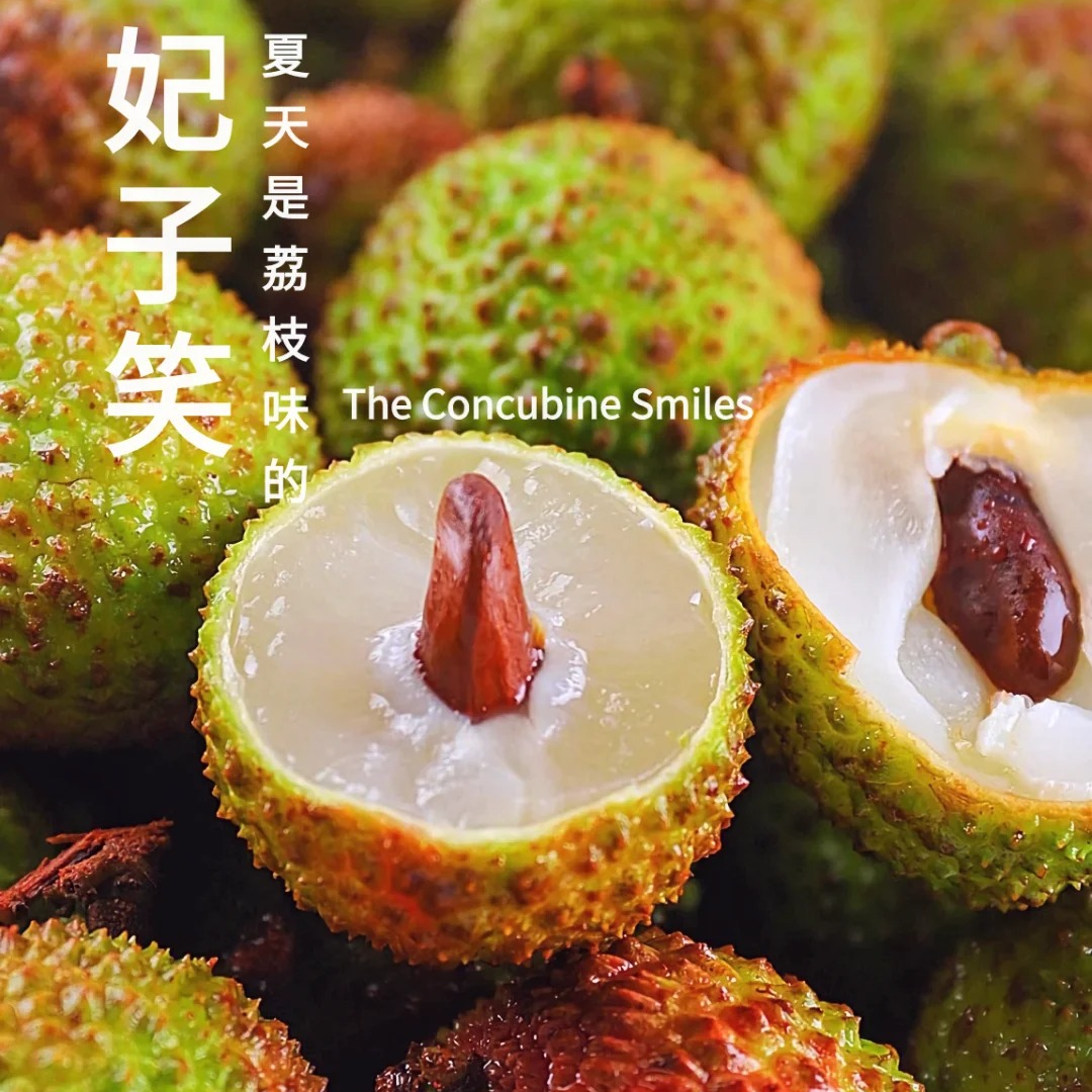 【现货｜明日必达】广东高州妃子笑荔枝 新鲜荔枝果园现摘 核小肉厚 单果20g+ 包邮全国仓发坏果包赔