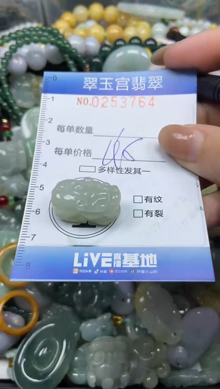 颈饰未镶嵌翡翠闪购C0253764