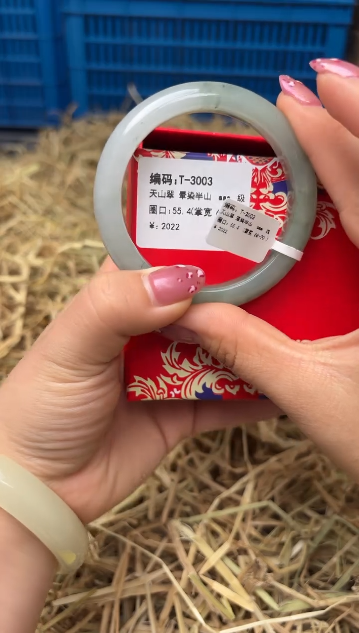 未镶嵌手镯石英质玉T-3003
