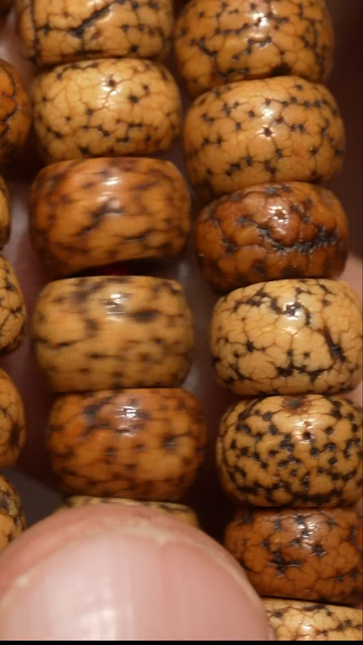 【闪购商品】冲赛康胡子哥，藏传念珠121