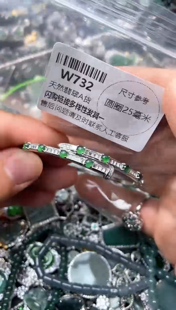 【闪购商品】翡翠颈饰未镶嵌W732手镯