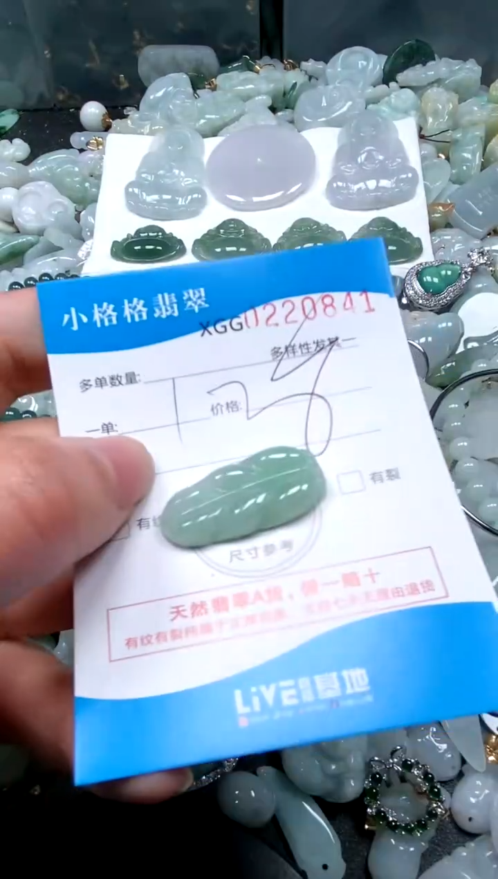 【闪购商品】翡翠颈饰未镶嵌闪购商品0220841