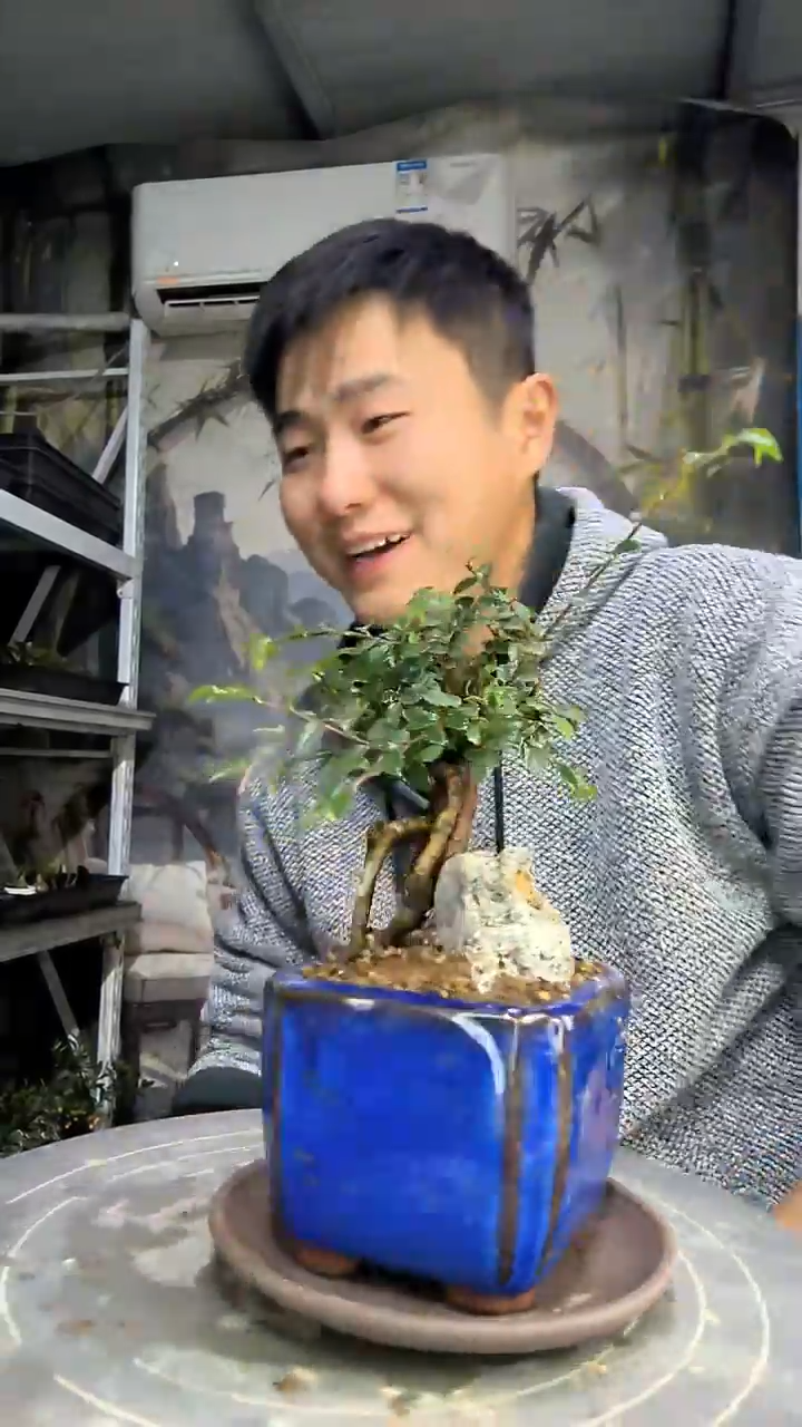 瑛****4中青园艺一物一拍花458