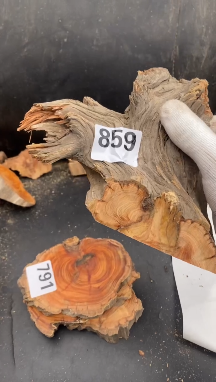 柏木（崖柏）山**3太行陈化崖柏切片！随机（1单1片）859