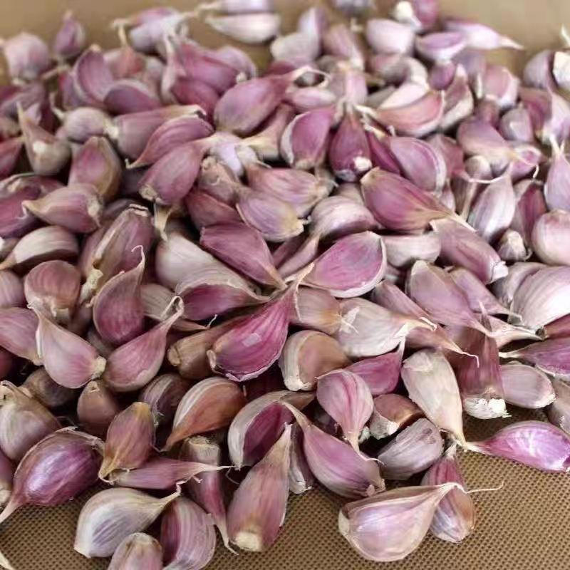 云南老品种紫皮红皮蒜真香蒜好剥壳很香的老品种真香蒜