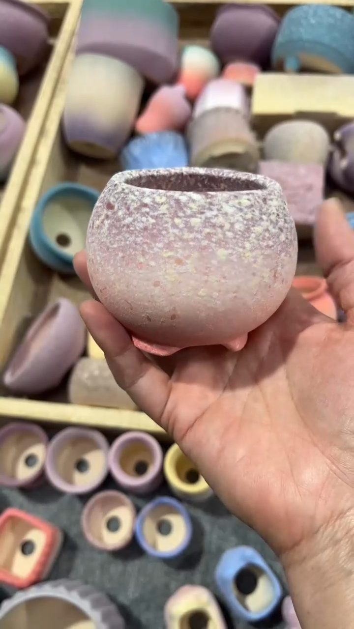 【闪购商品】红陶11